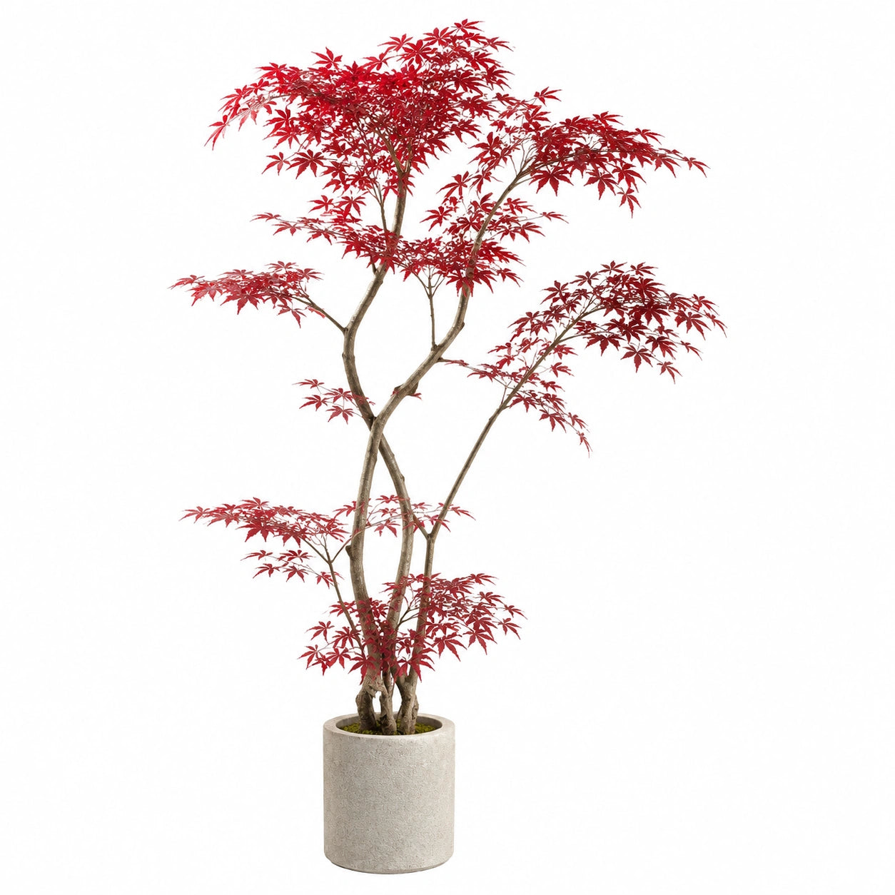 Albero artificiale acero 180 cm con foglie in PE rosso decorativo con vaso