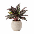 Pianta artificiale in vaso 80 cm foglie verdi e rosa in ceramica per interni